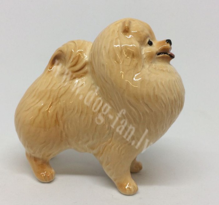 Pomeranian_red14-um copy